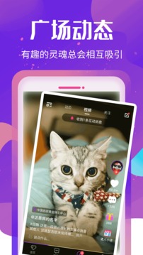 恋爱软件